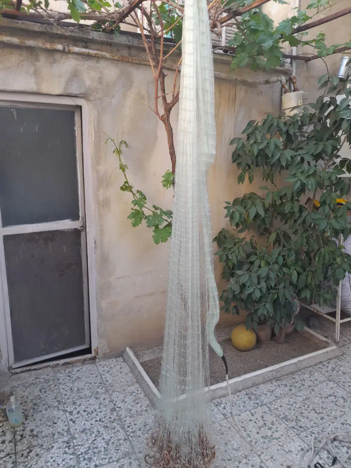 تور|ماهیگیری|خرم‌آباد, |دیوار