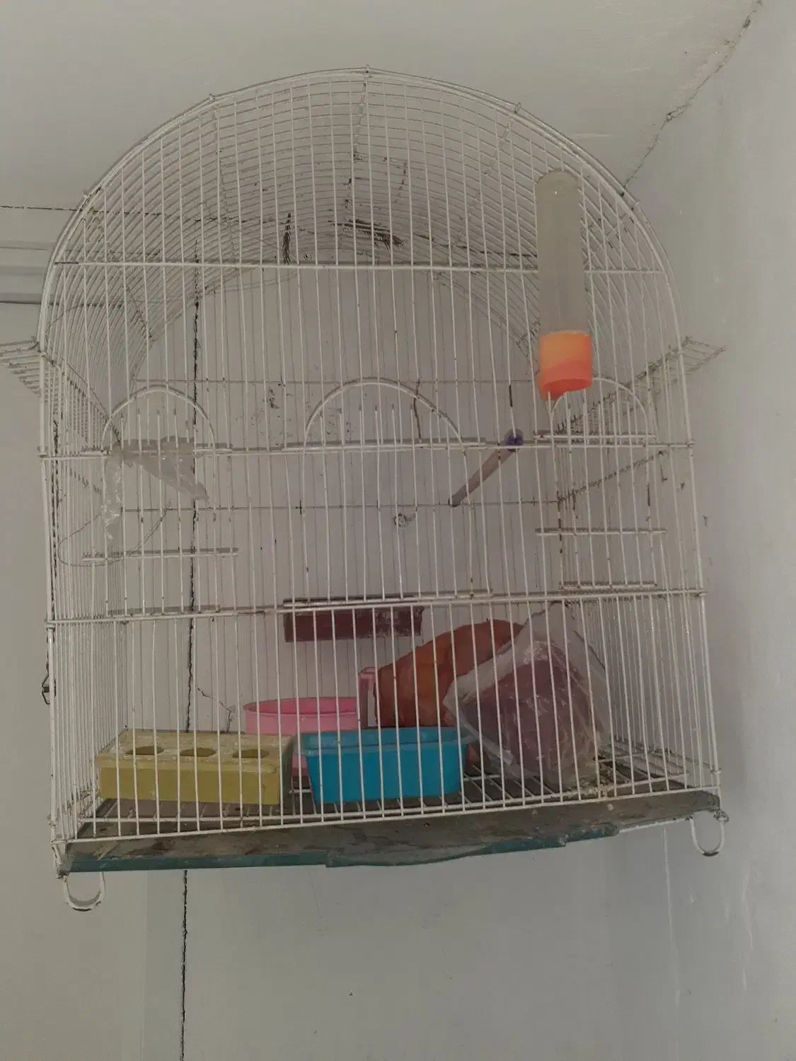 قفس پرنده سالم|لوازم جانبی حیوانات|میانه, |دیوار