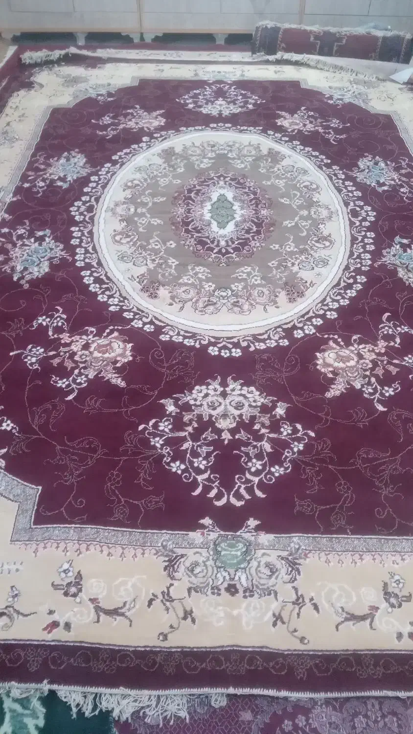 یک فرش ۱۲ متری در حد اک|فرش|شادگان, |دیوار