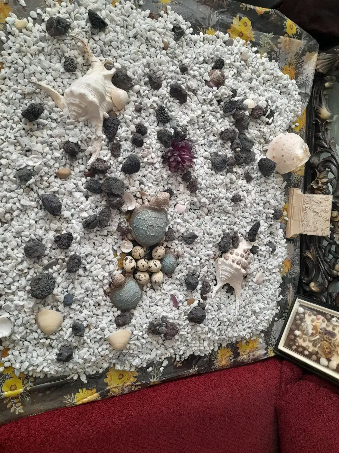 سنگ آکواریوم|ماهی|بافت, |دیوار