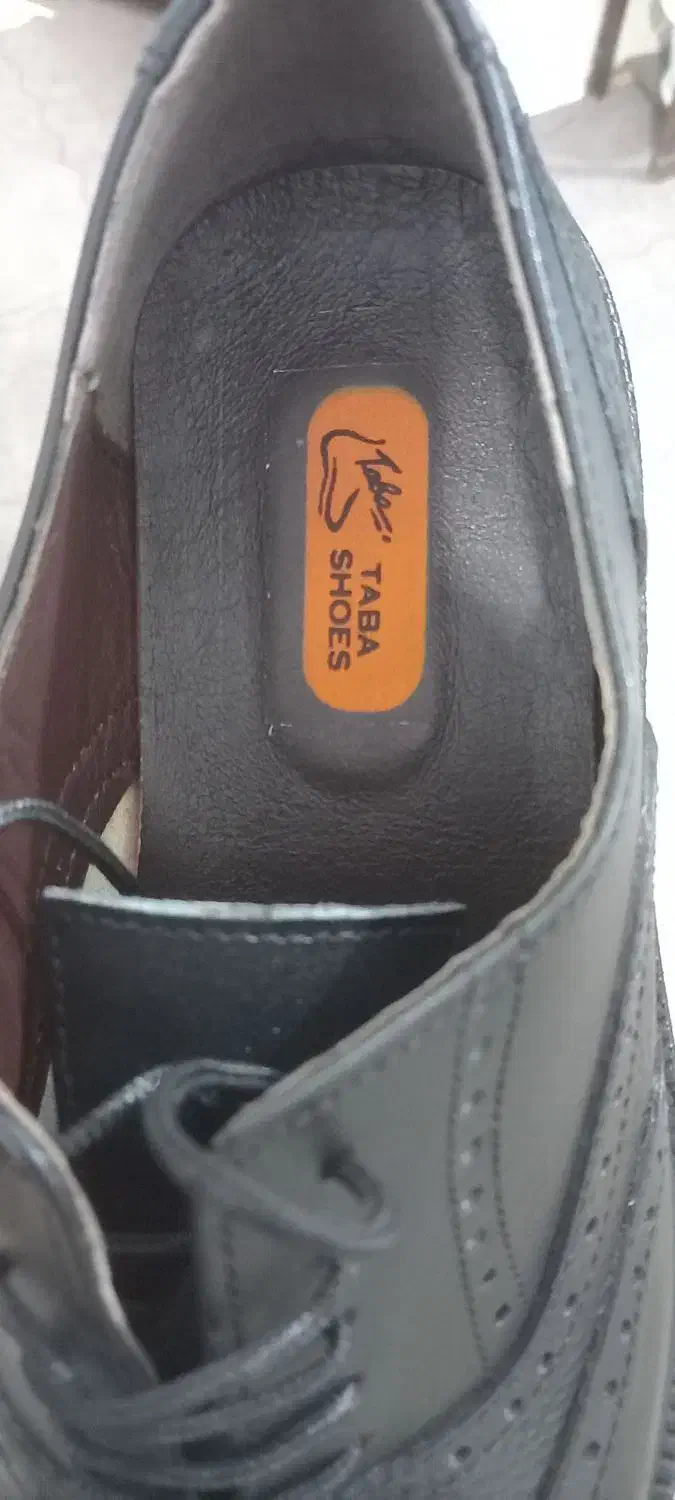 کفش مردانه|کیف، کفش، کمربند|فسا, |دیوار