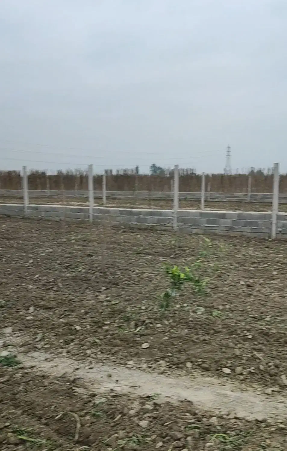 زمین باغی چسبیده به گنبد با مجوز فنس کشی شده|فروش دفتر صنعتی، کشاورزی، تجاری|گنبد کاووس, |دیوار