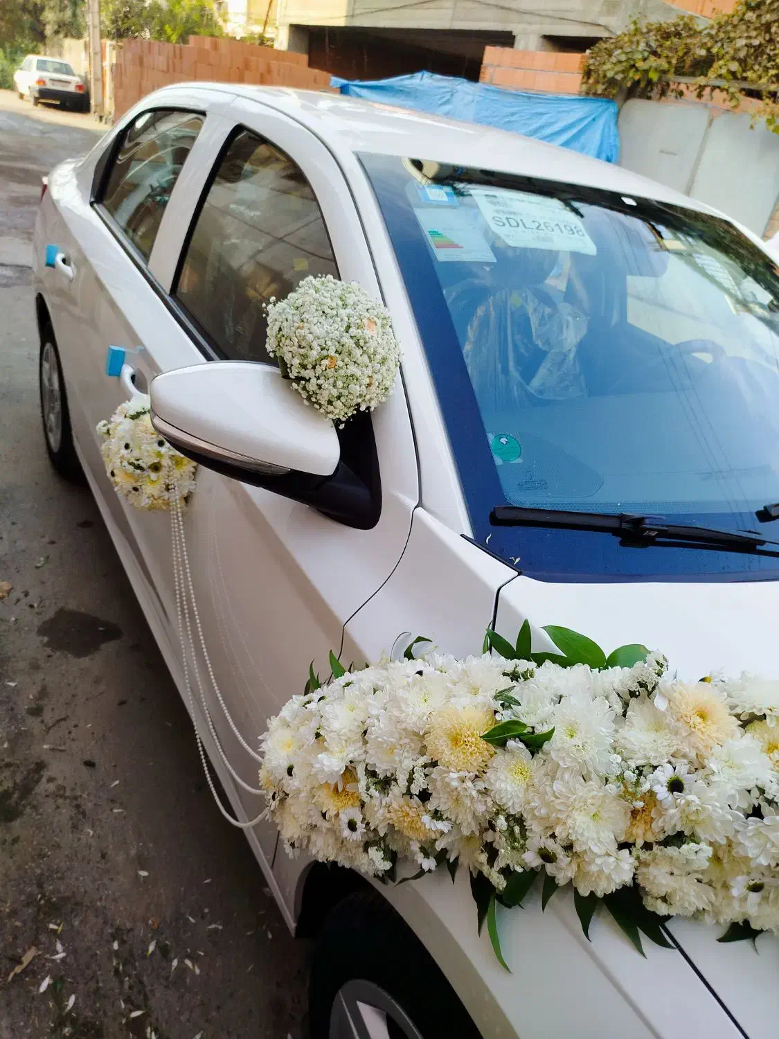 گلکده|گل و گیاه طبیعی|قائم‌شهر, |دیوار