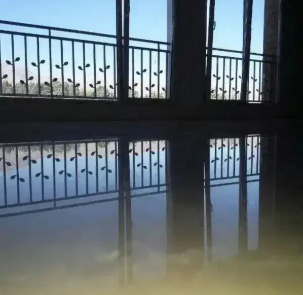 کفسابی سنگسابی سابزن|خدمات نظافت|کرج, گلشهر|دیوار