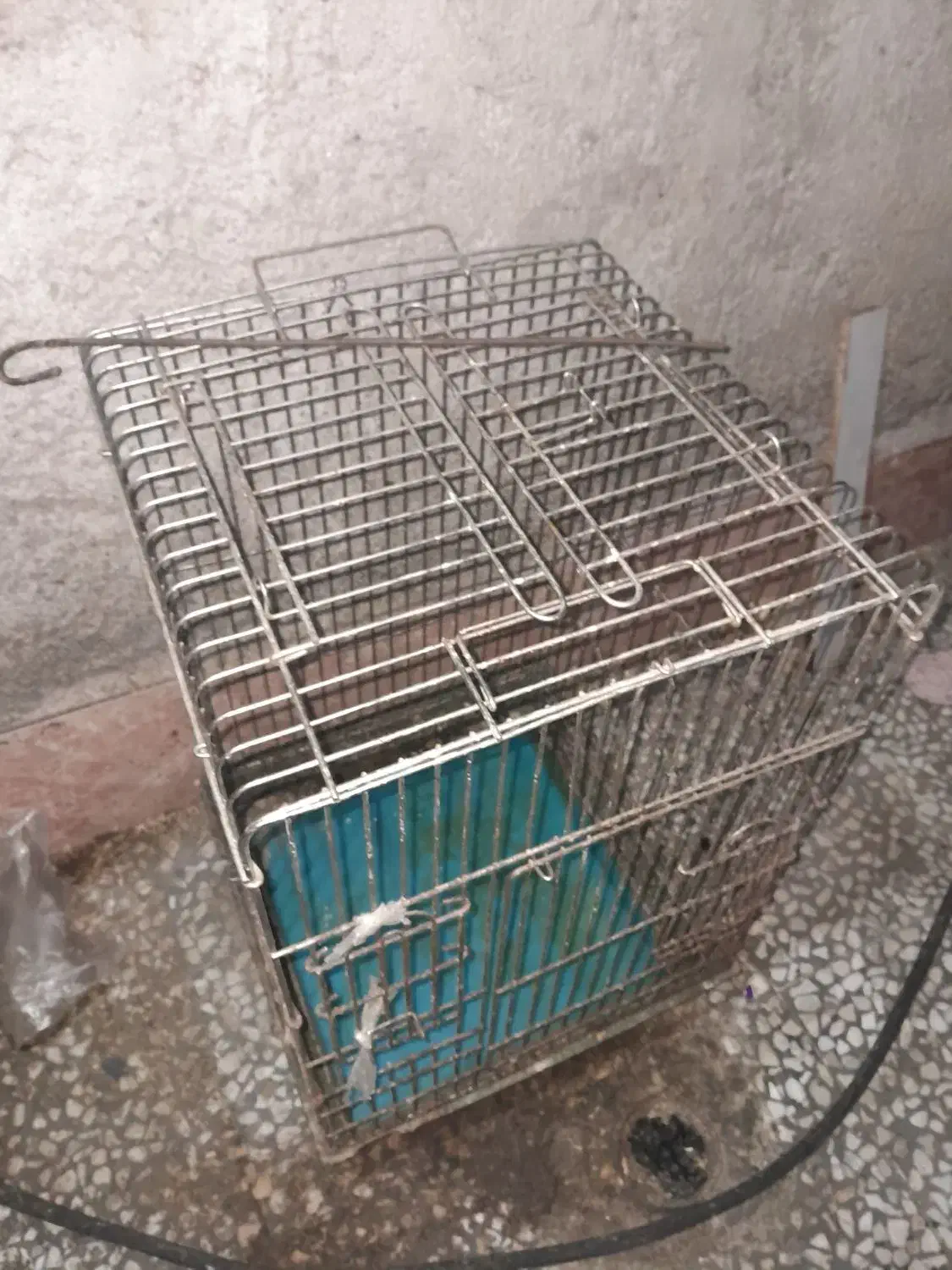 قفس پرنده|لوازم جانبی حیوانات|رشت, معلولین|دیوار