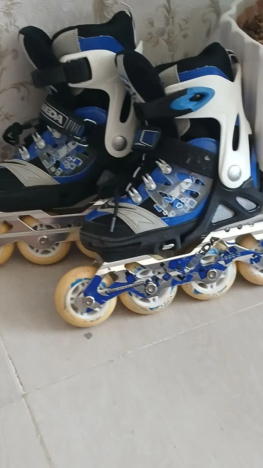 کفش اسکیت|دوچرخه، اسکیت، اسکوتر|سهند, |دیوار