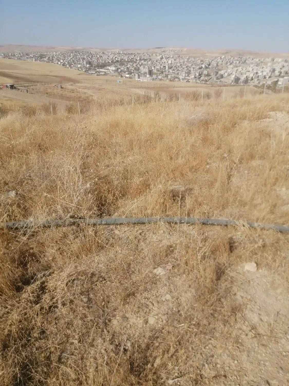 زمین خام کشاورزی پشت پارک جنگلی هوازو|فروش زمین و ملک کلنگی|سارال, |دیوار