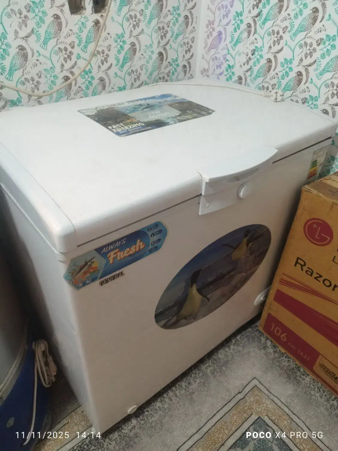 فریزر|یخچال و فریزر|بندرعباس, |دیوار