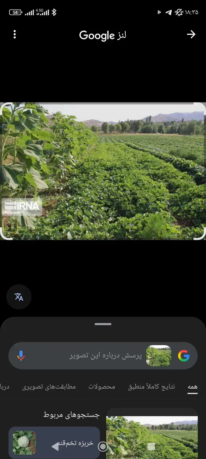 اجاره ۳ هکتار|اجارهٔ دفتر صنعتی، کشاورزی، تجاری|کمیجان, |دیوار