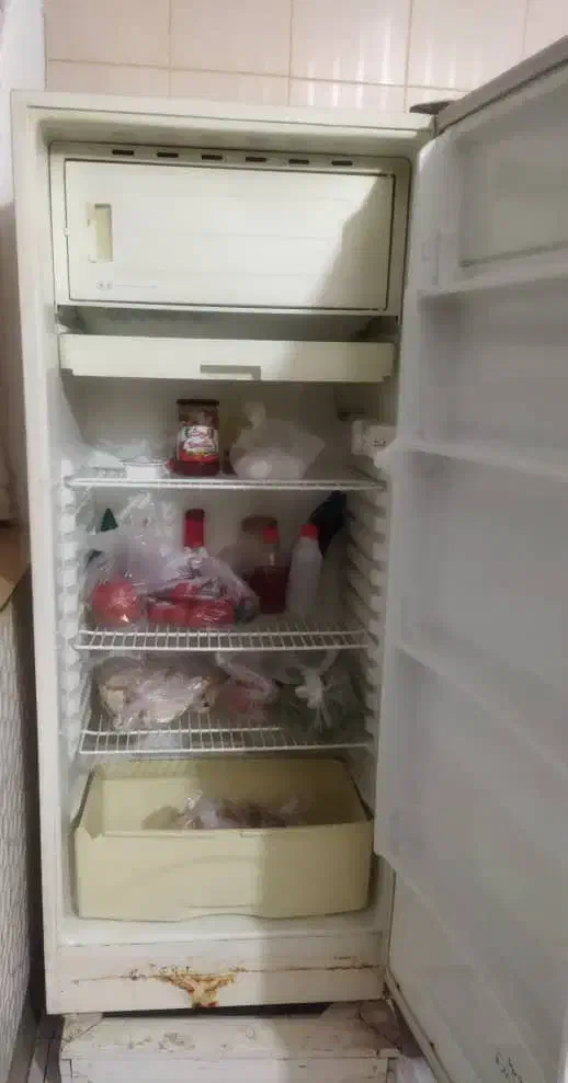 فروش یخچال|یخچال و فریزر|بندر دیر, |دیوار