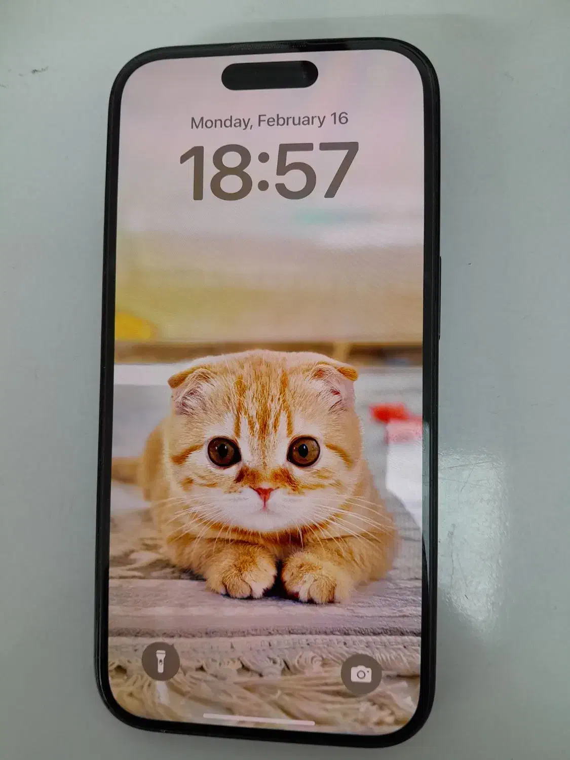 iphone16|موبایل|رشت, چله خانه|دیوار