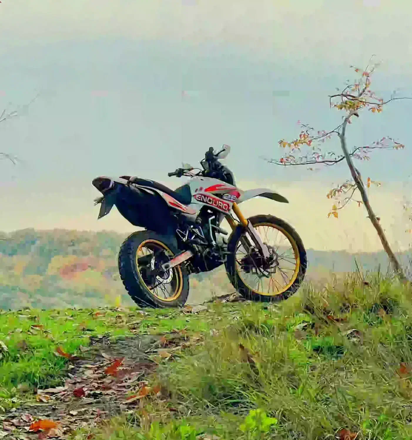 تریل رادیسون ۲۵۰|موتورسیکلت|ساری, |دیوار