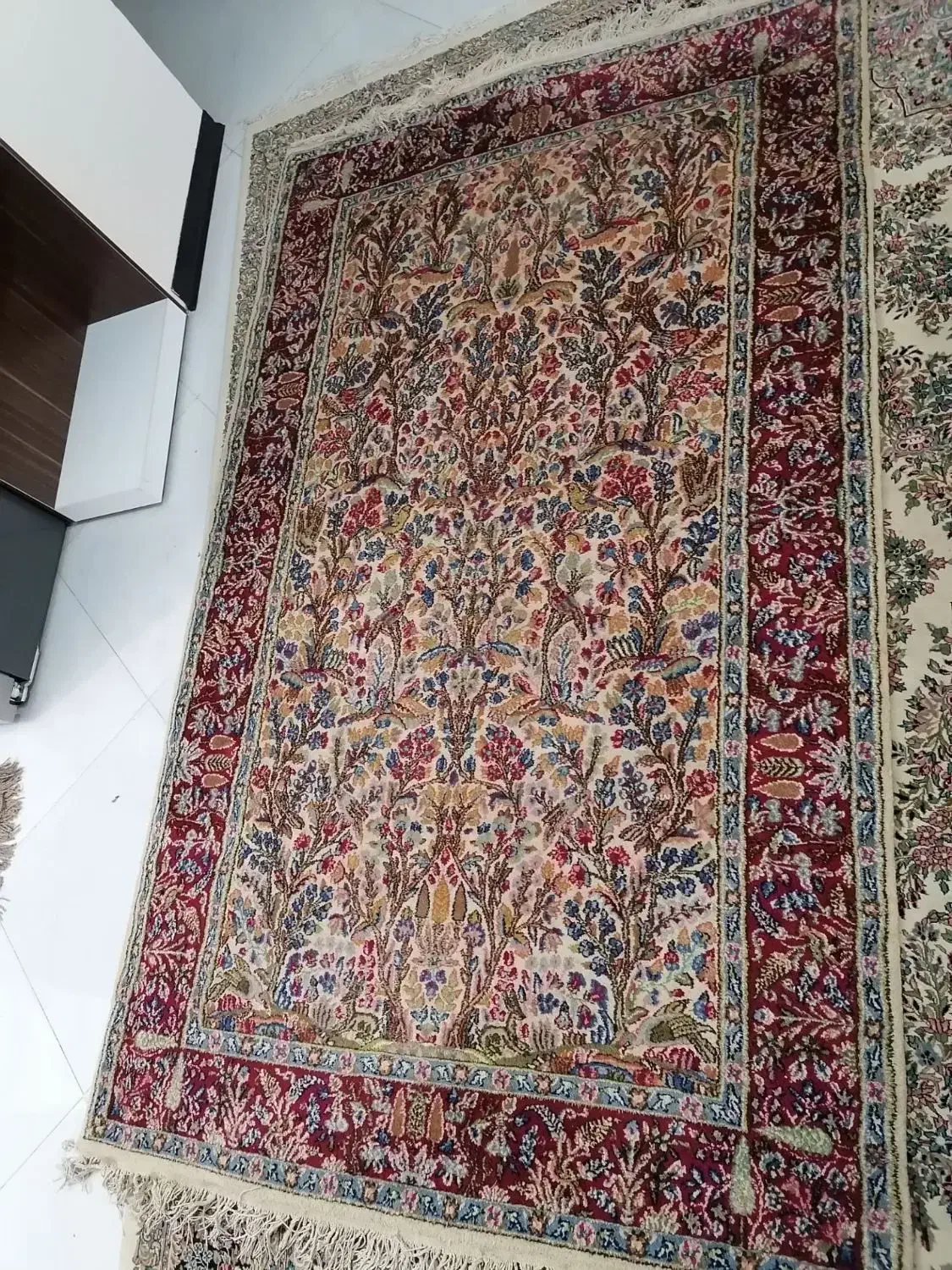 قالی دستبافت کرمانی|فرش|کرمان, |دیوار