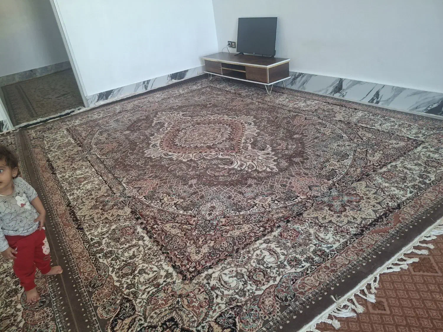 قالی 12متری|فرش|الیگودرز, |دیوار