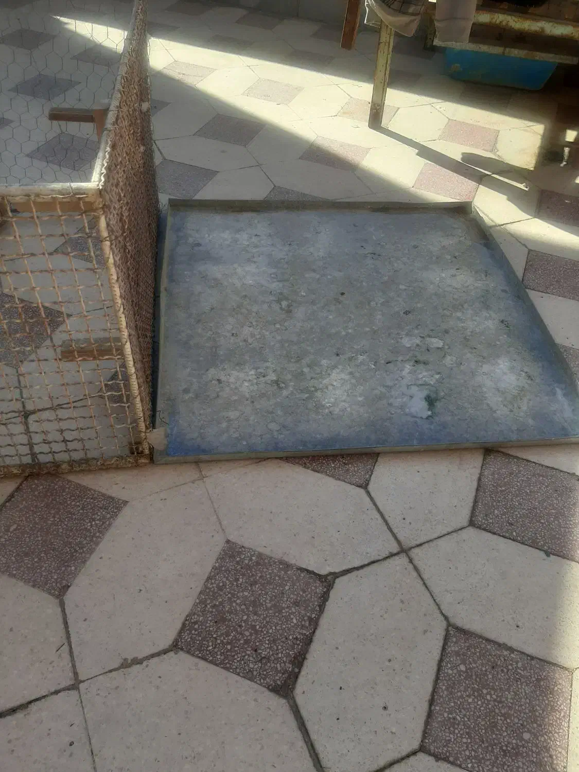 گنجه .قفس|لوازم جانبی حیوانات|شیراز, لاله|دیوار