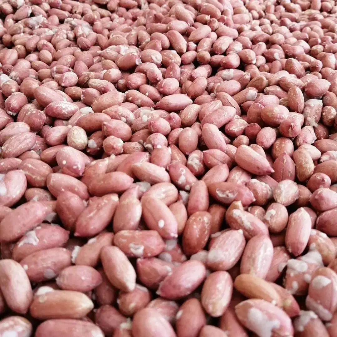 بادام زمینی و کره بادام زمینی|خوردنی و آشامیدنی|قم, دورشهر|دیوار