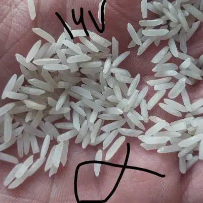 برنج سوپر باسماتی اصلی|خوردنی و آشامیدنی|مشهد, شهید مطهری|دیوار