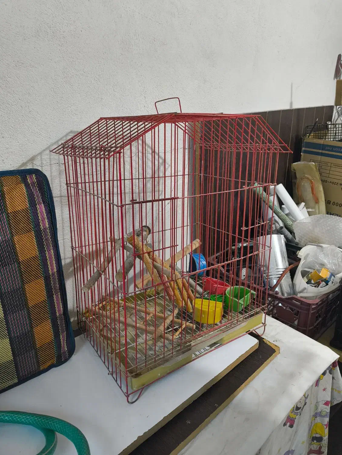 فروش قفس|لوازم جانبی حیوانات|بوشهر, |دیوار