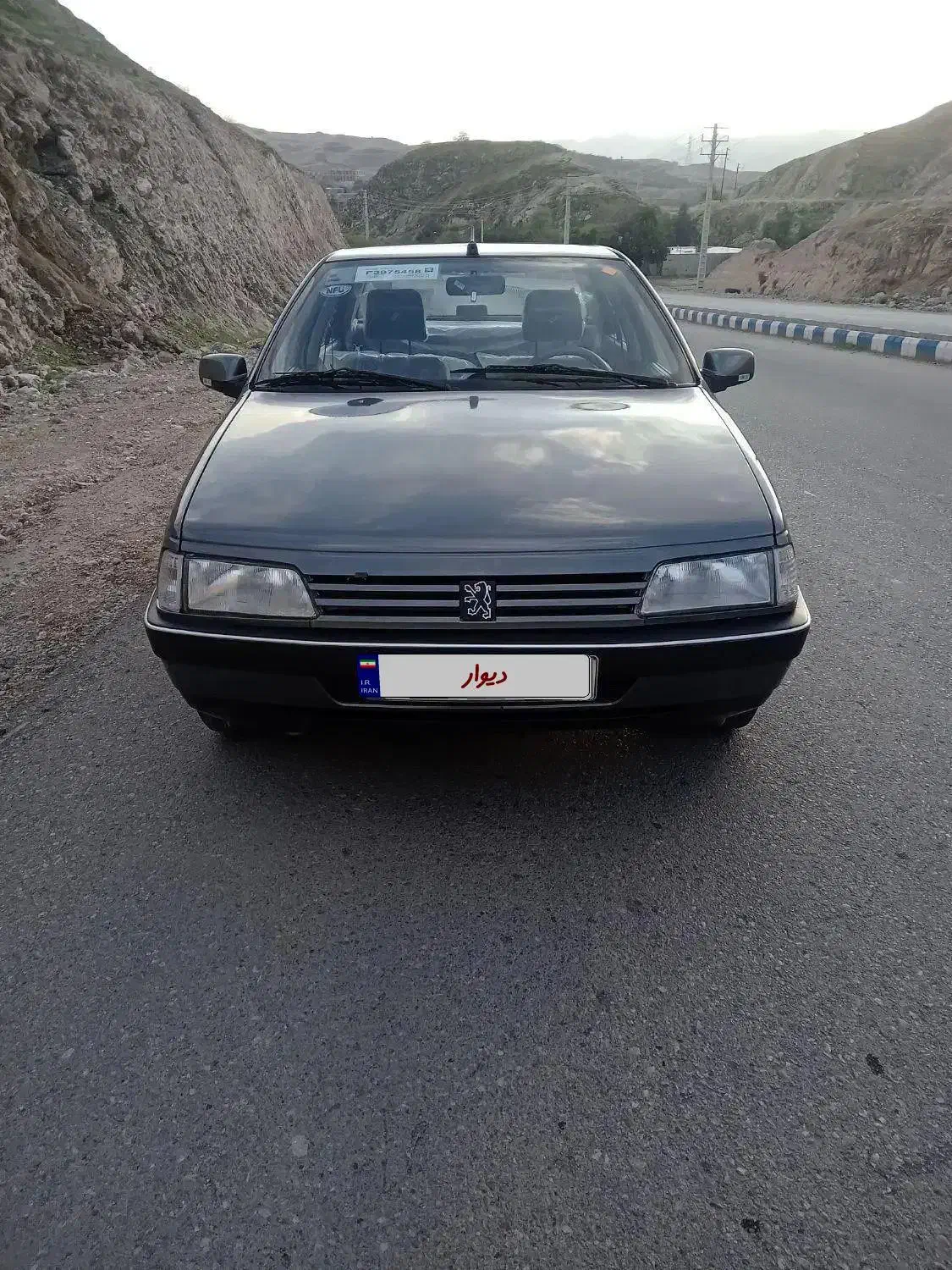 ۴۰۵ مدل ۸۹ تیوفایو NFU|خودرو سواری و وانت|اهواز, زندوکیلی|دیوار