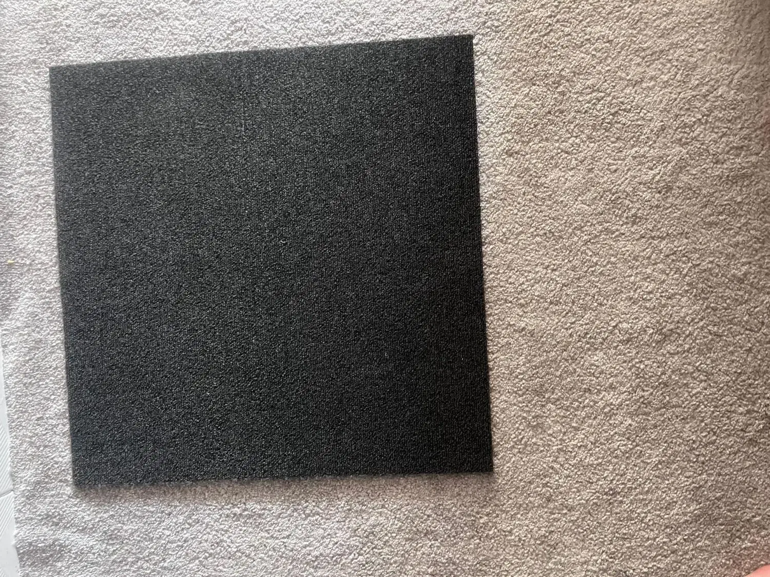 موکت تایلی 50در50|موکت|تهران, تهرانپارس غربی|دیوار