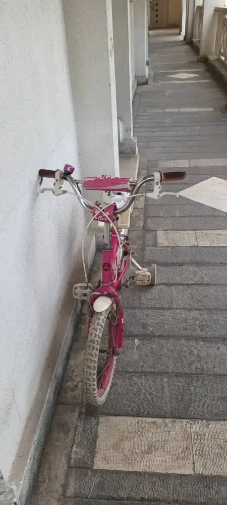 دوچرخه|دوچرخه، اسکیت، اسکوتر|آمل, |دیوار