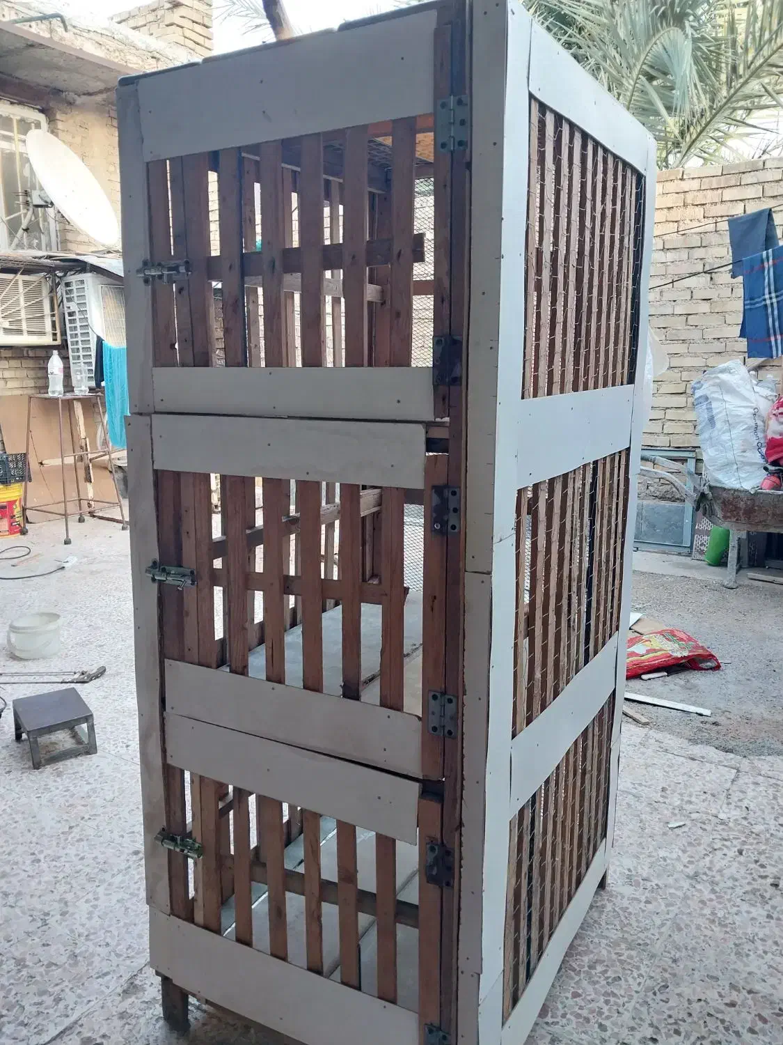 کبوتر|لوازم جانبی حیوانات|فیروزآباد (لرستان), |دیوار