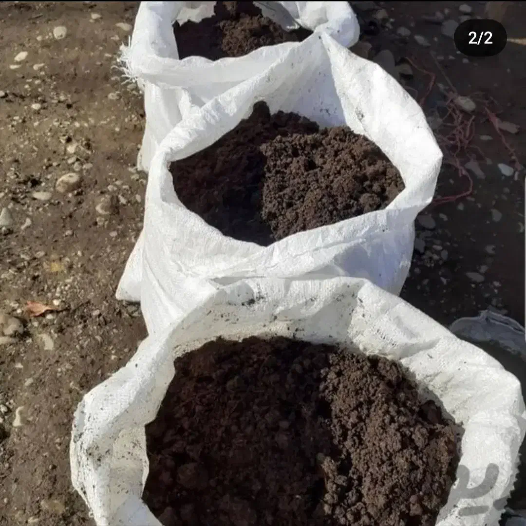 کود حیوانی گاوی پوسیده و خاک باغچه درجه یک|خدمات باغبانی و درختکاری|رشت, توشیبا|دیوار