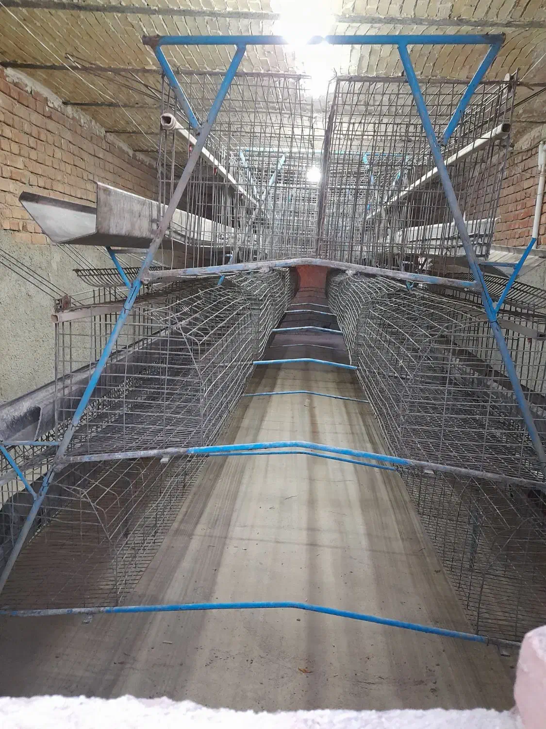 قفسه مرغ|لوازم جانبی حیوانات|قروه, |دیوار