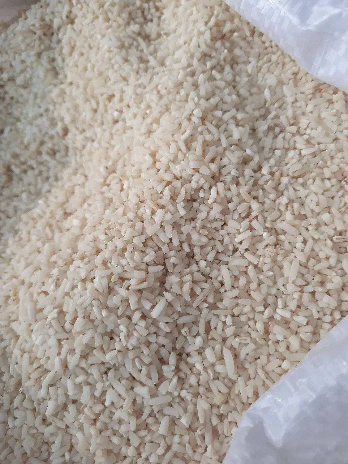 برنج هاشمی آستانه امساله|عمده‌فروشی|لاهیجان, بازکیاگوراب|دیوار