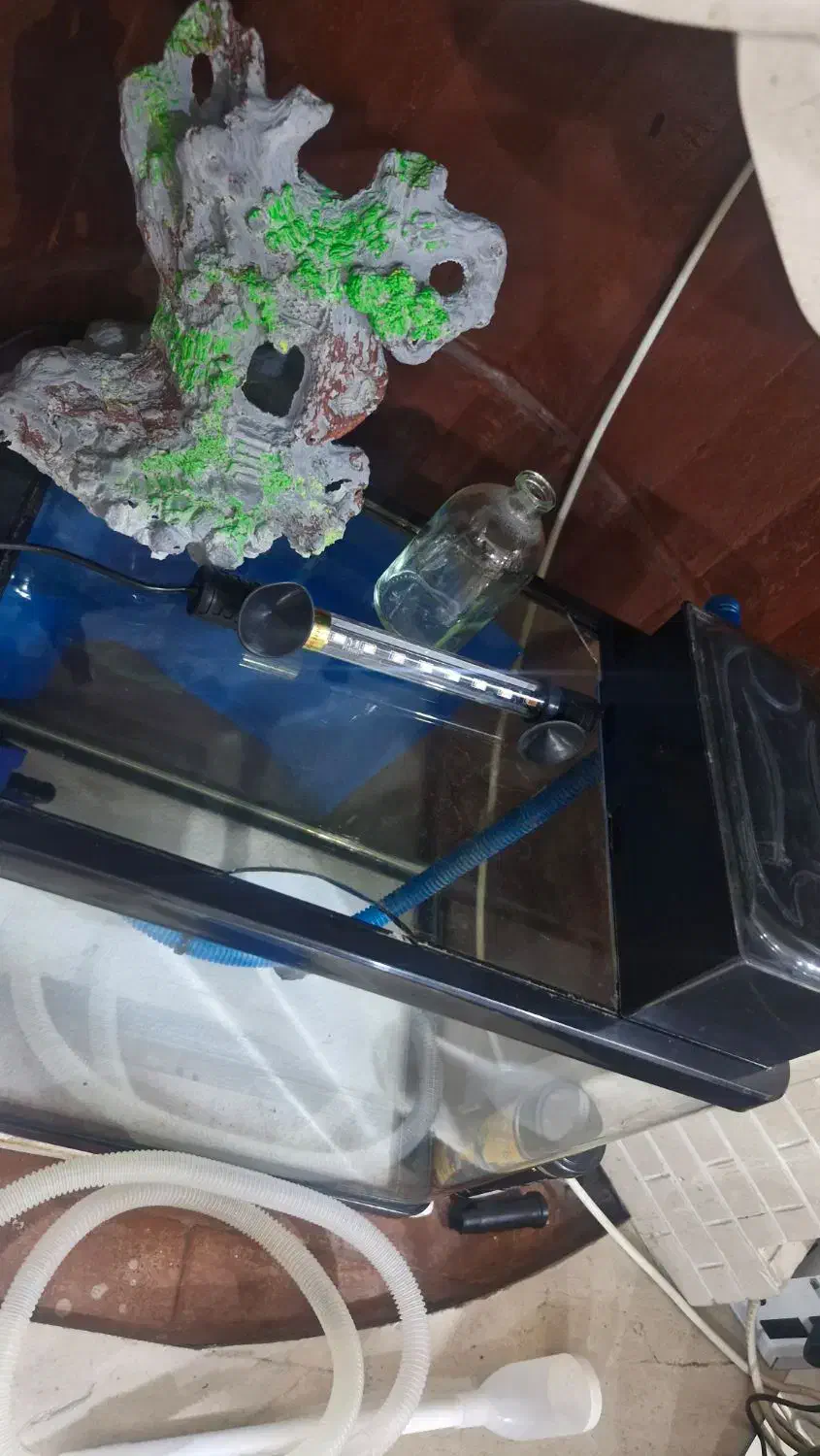 آکواریوم|ماهی|تهران, سردارجنگل|دیوار