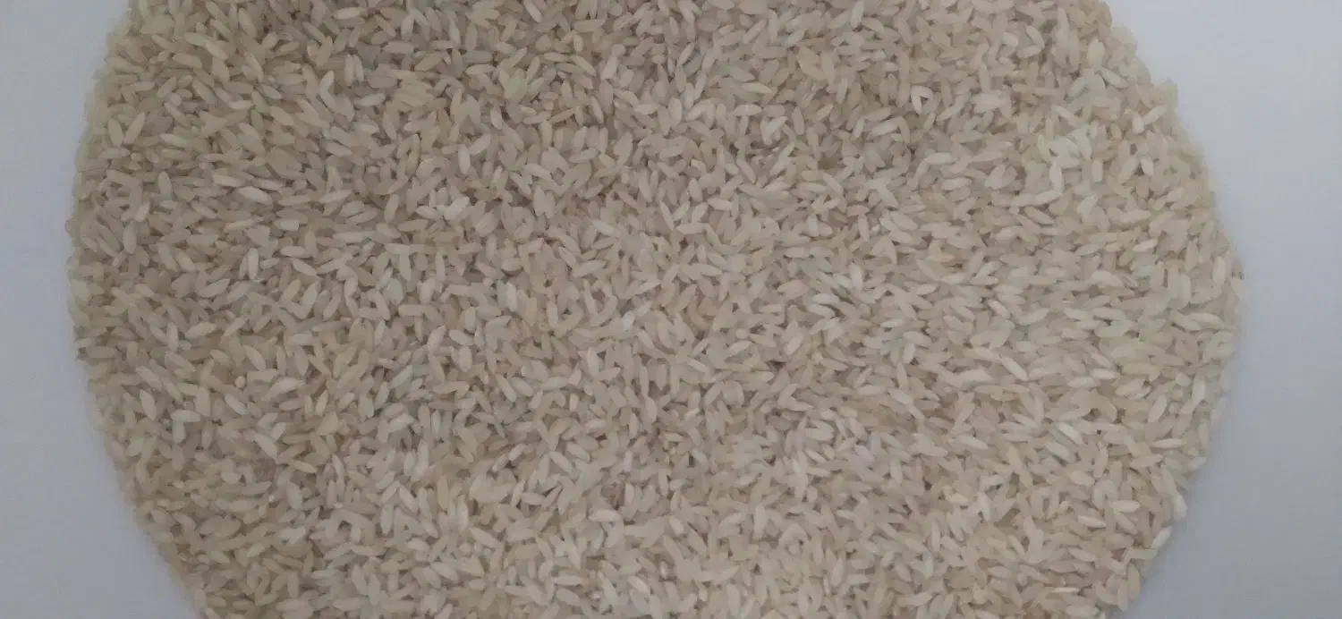 برنج محلی|خوردنی و آشامیدنی|دره شهر, |دیوار