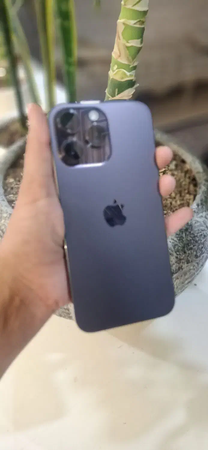 گوشی آیفون ۱۴ پرومکس zaa اصلی|موبایل|مشهد, دانشجو|دیوار