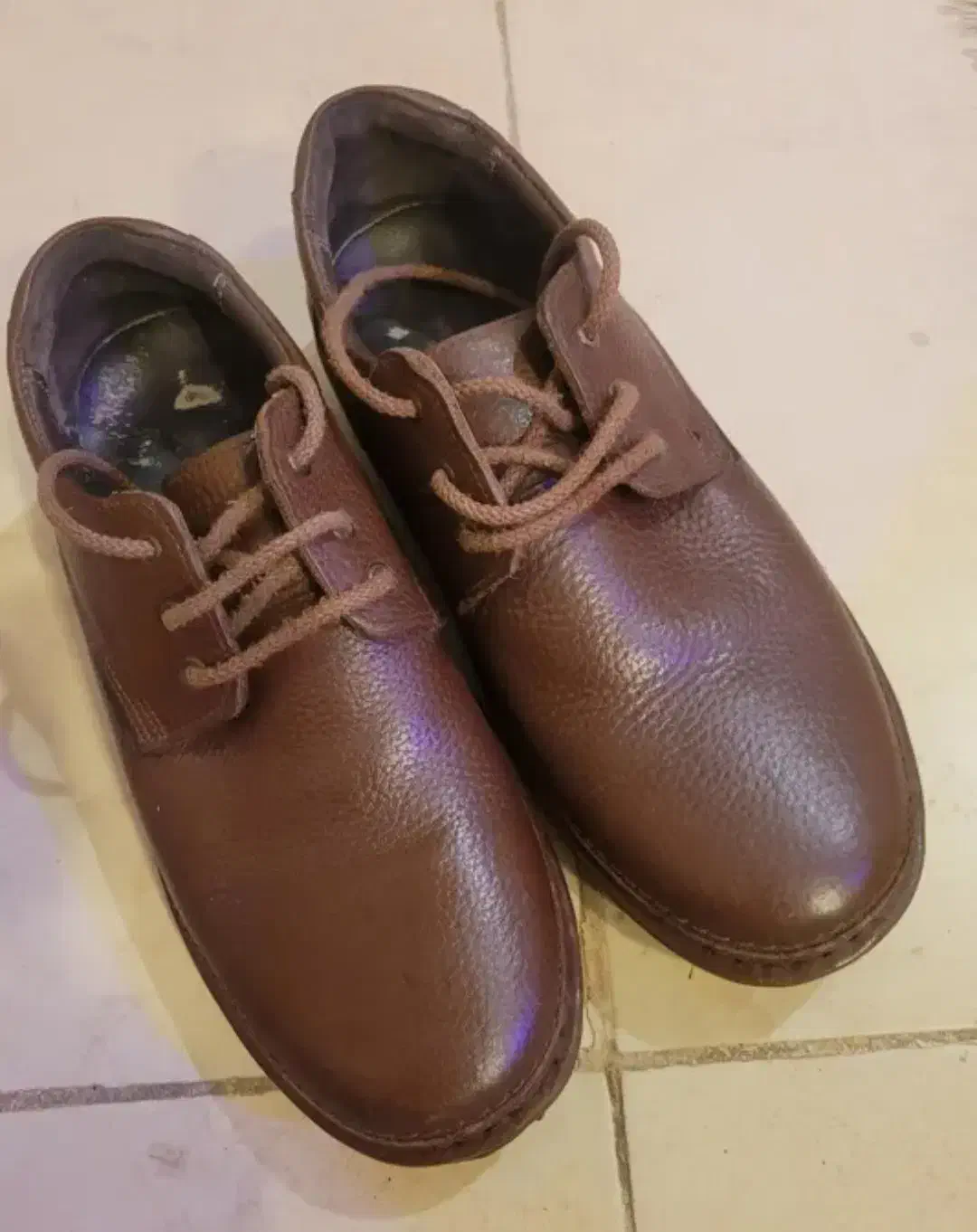 کفش شهپر مدل کلارک|کیف، کفش، کمربند|شیراز, تاچارا|دیوار