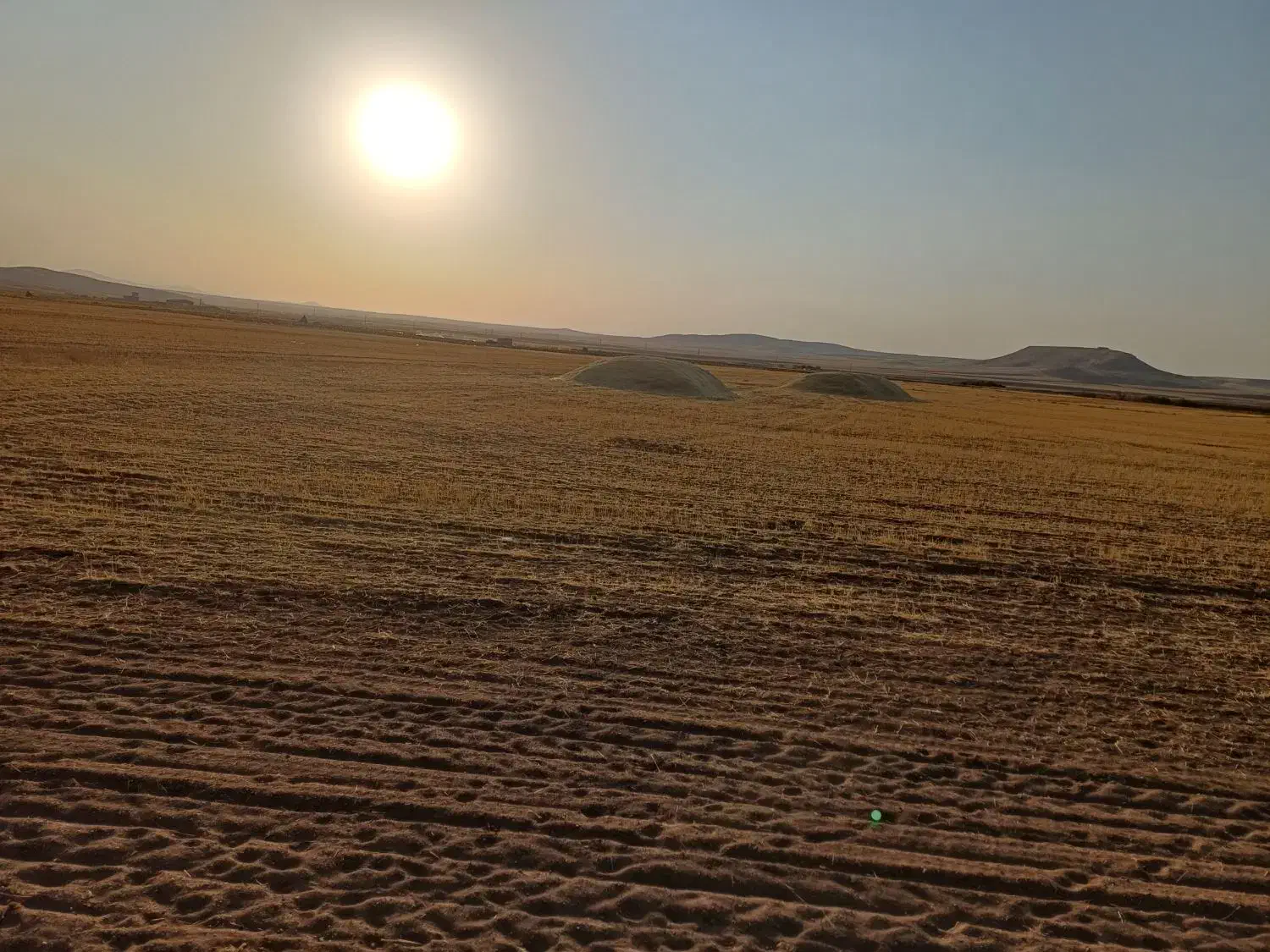 کاه نرم|عمدهفروشی|گل تپه, |دیوار