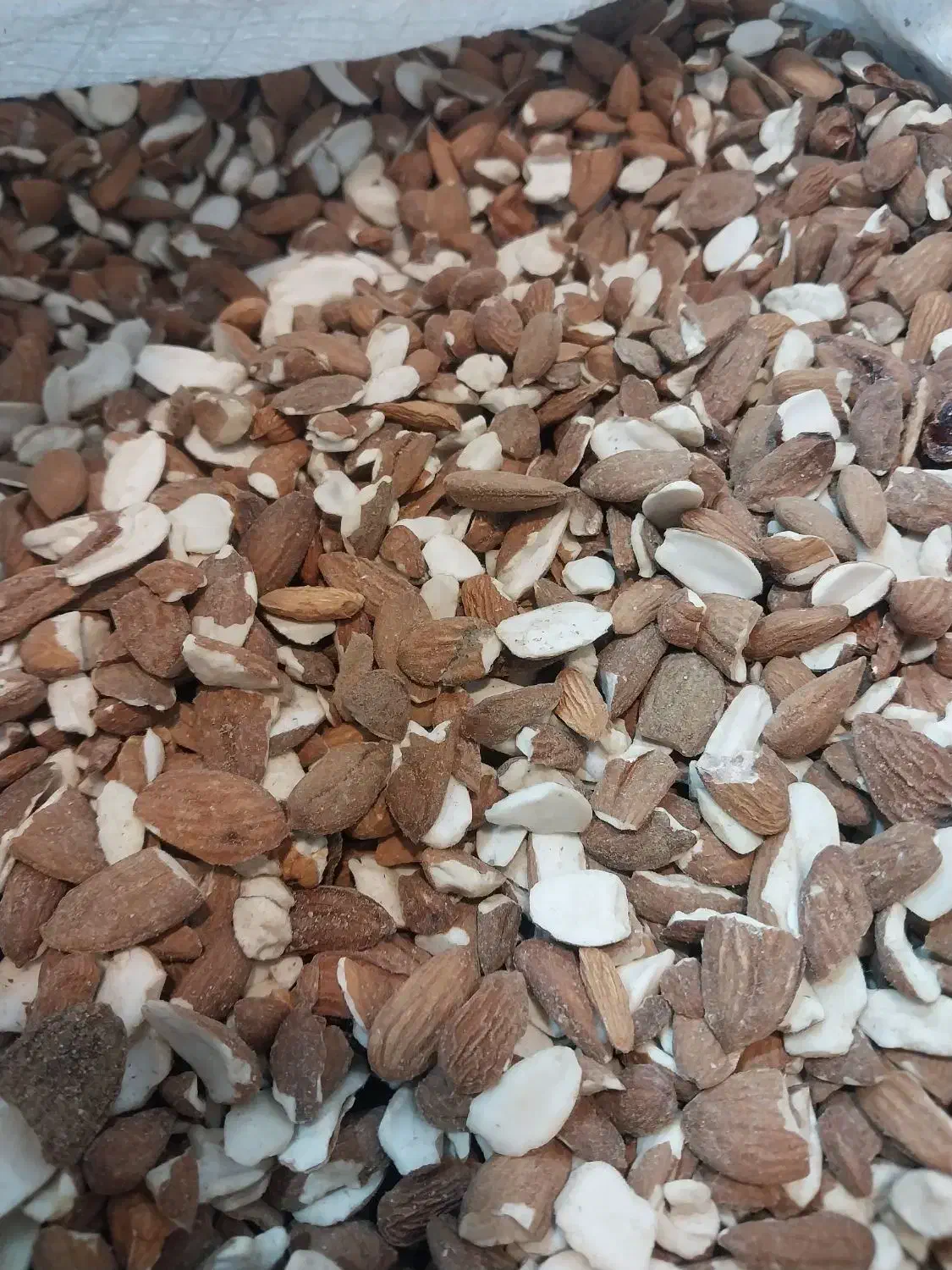 مغز بادام لپه|خوردنی و آشامیدنی|سبزوار, هفت تیر|دیوار