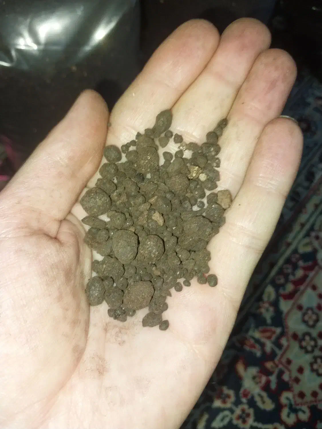 کود گرانوله و کود های ارگانیک و خاک گلدان|گل و گیاه طبیعی|اهواز, کوی نفت|دیوار