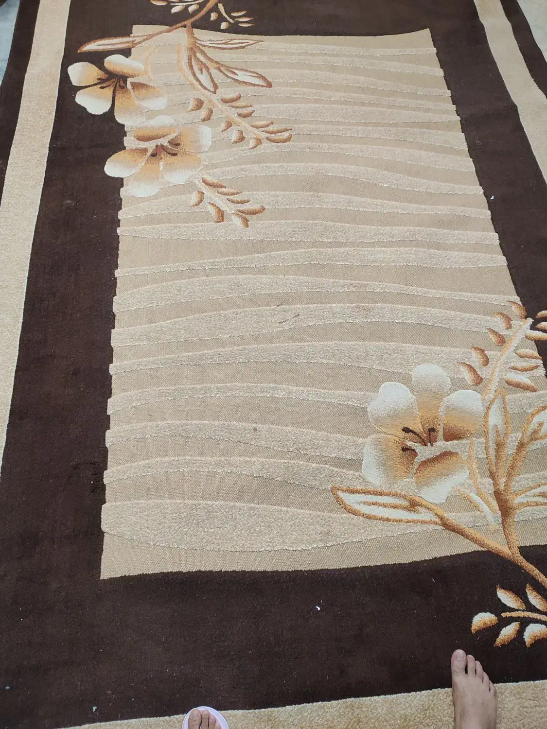 دو عدد گلیم ۹ و ۷ متری|گلیم، جاجیم، گبه|یزد, |دیوار