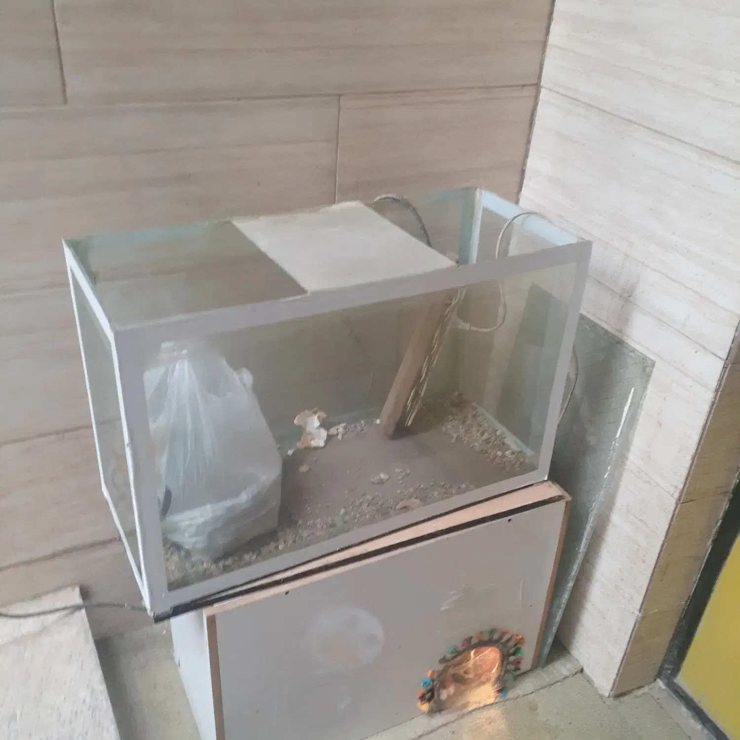 اکواریوم|ماهی|آبیک, |دیوار