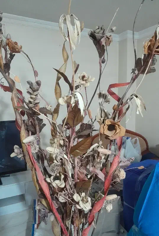 گل مصنوعی خشک|گل مصنوعی|شاهین‌شهر, فردوسی|دیوار