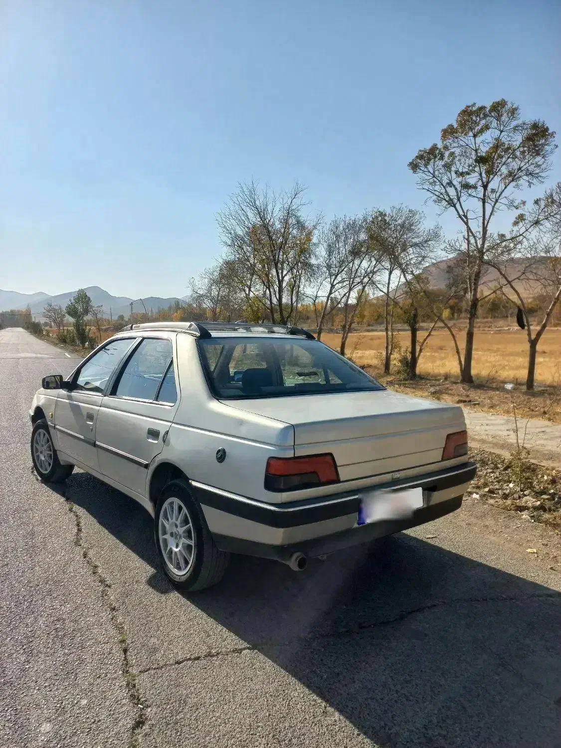 ۴۰۵ دوگانه مدل ۸۹ سفارشی|خودرو سواری و وانت|قروه, |دیوار