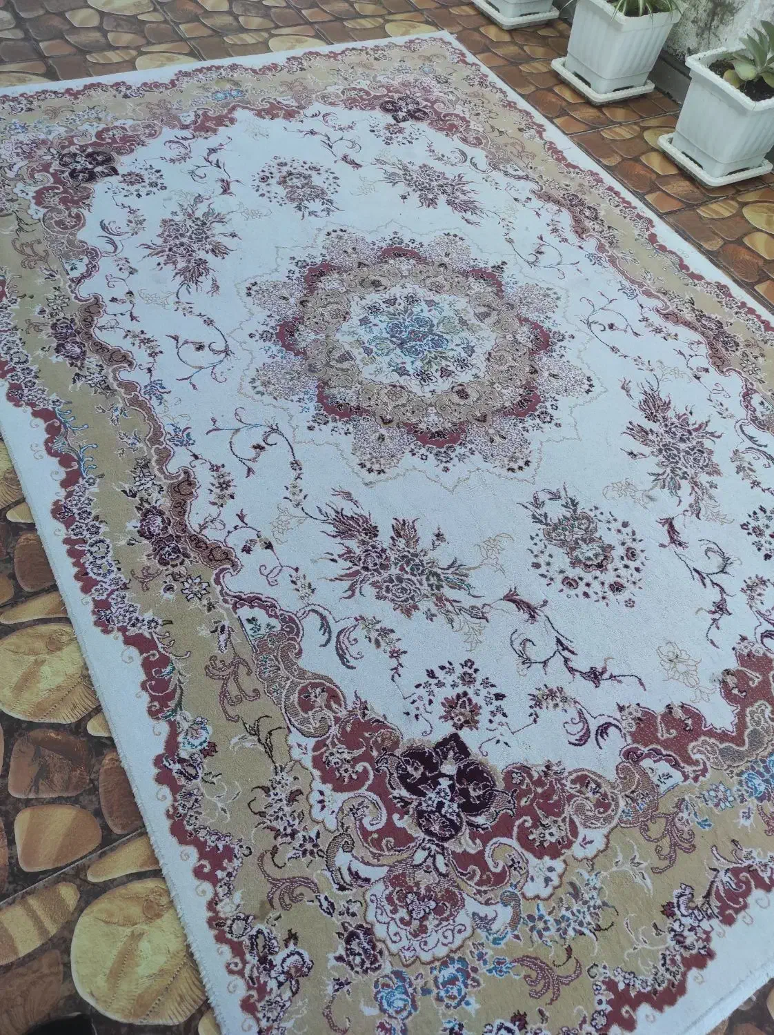 فرش ماشینی ۶ متری|فرش|نوشهر, |دیوار