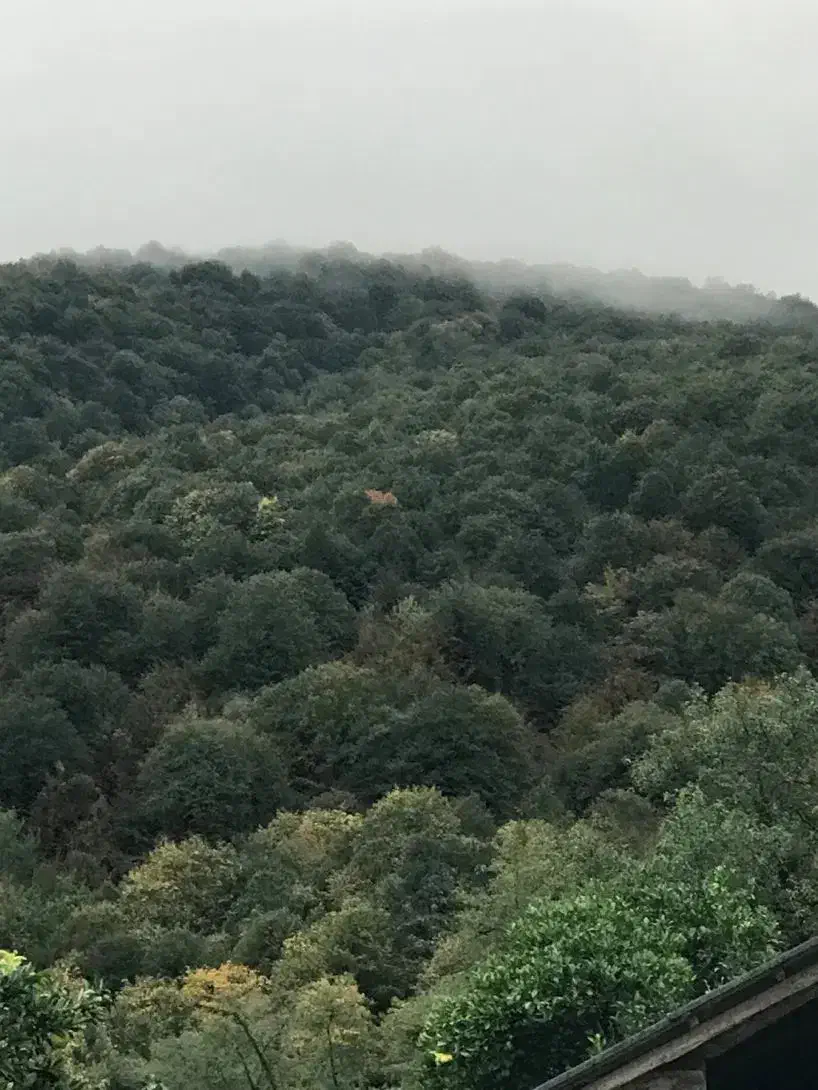 زمین داخل بافت،دو قطعه۲۵۰،سند۶دانگ،عباس آباد،گرداب|فروش زمین و ملک کلنگی|عباس‌آباد, |دیوار