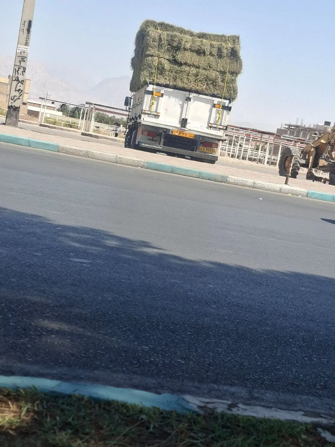 یونجه|خدمات باغبانی و درختکاری|یزد, |دیوار