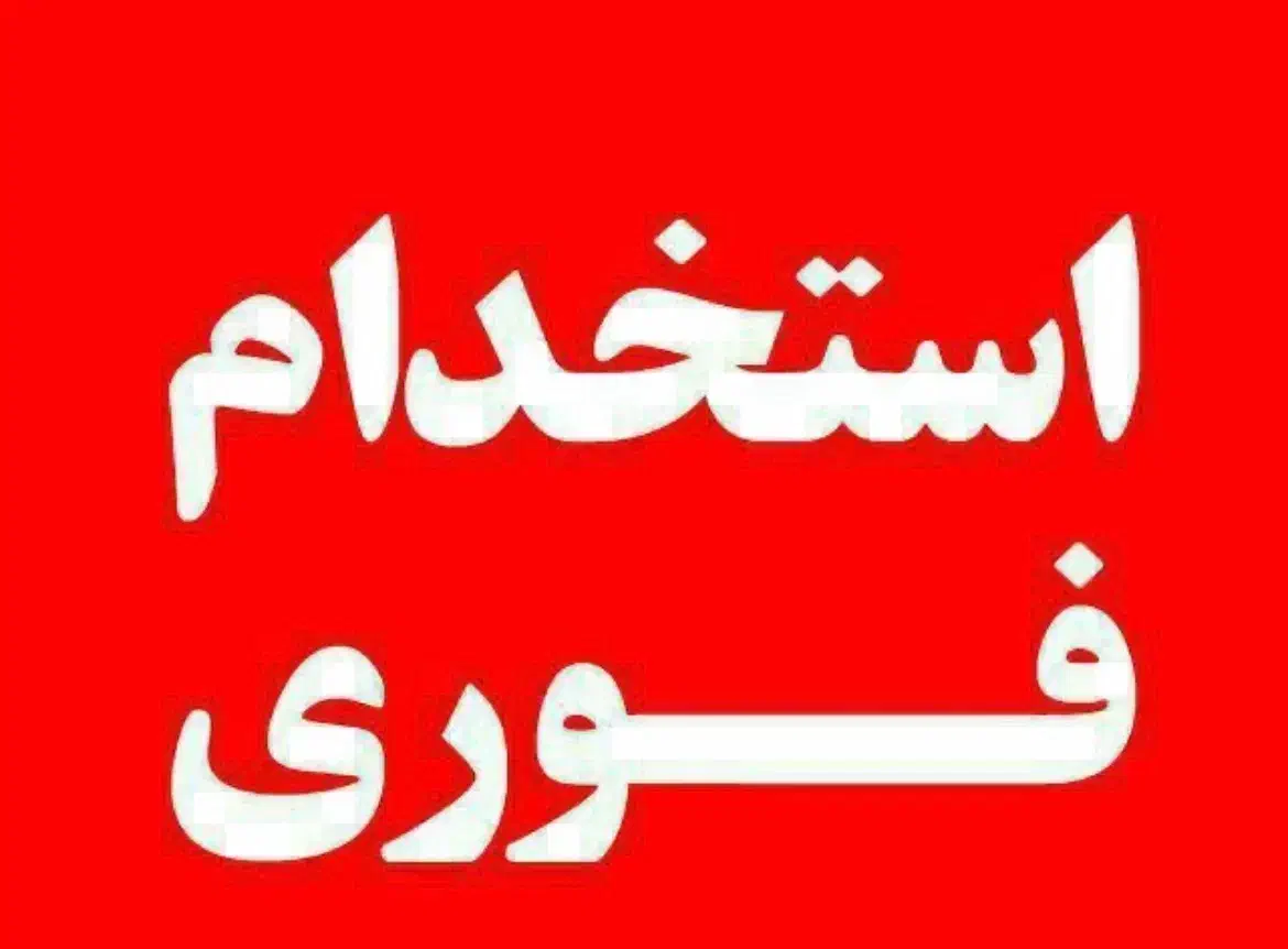 به یک نیرو آقا برای کار در پروتئینی نیازمندیم|استخدام خدمات فروشگاه و رستوران|قائمشهر, |دیوار