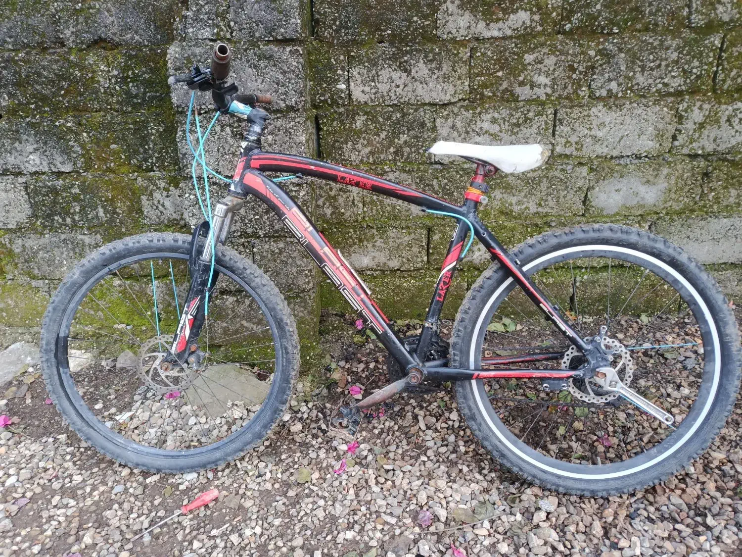 دوچرخه فروشی|دوچرخه، اسکیت، اسکوتر|سلمانشهر, |دیوار