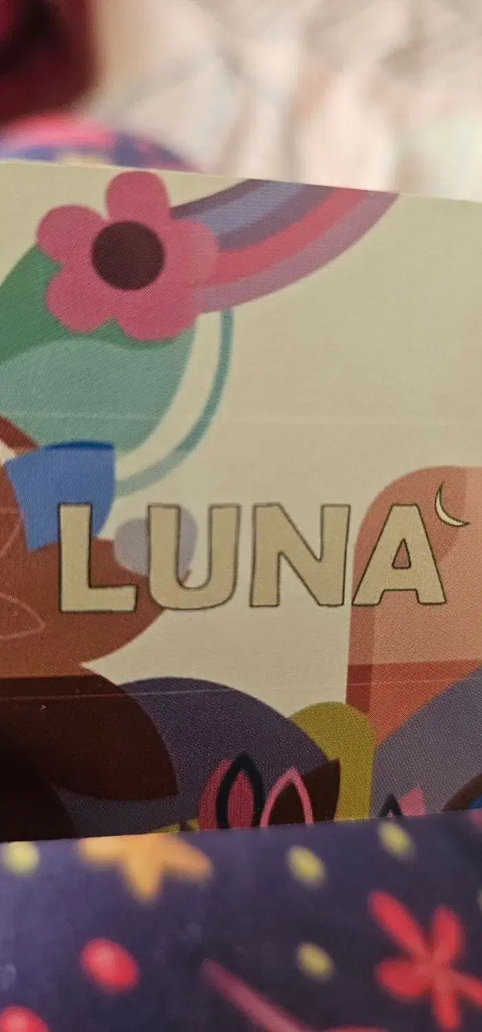 پوشاک|لباس|کرج, کوی گلها|دیوار