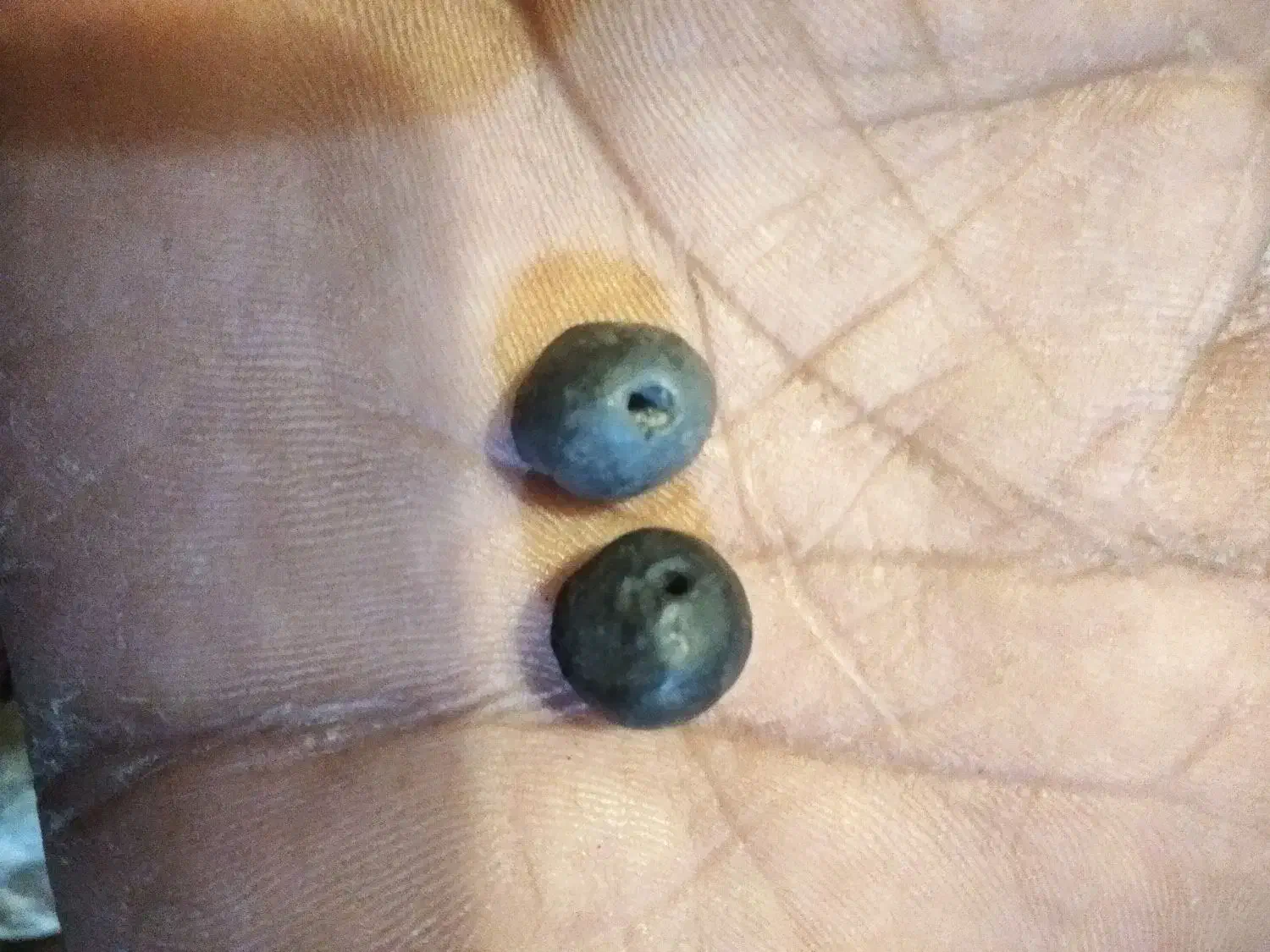 یک جفت مهره گبری|کلکسیون اشیاء عتیقه|شوشتر, |دیوار