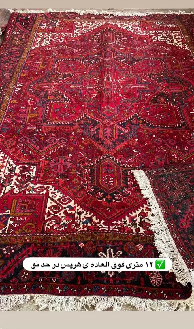 هریس لاکی|فرش|شاهرود, |دیوار