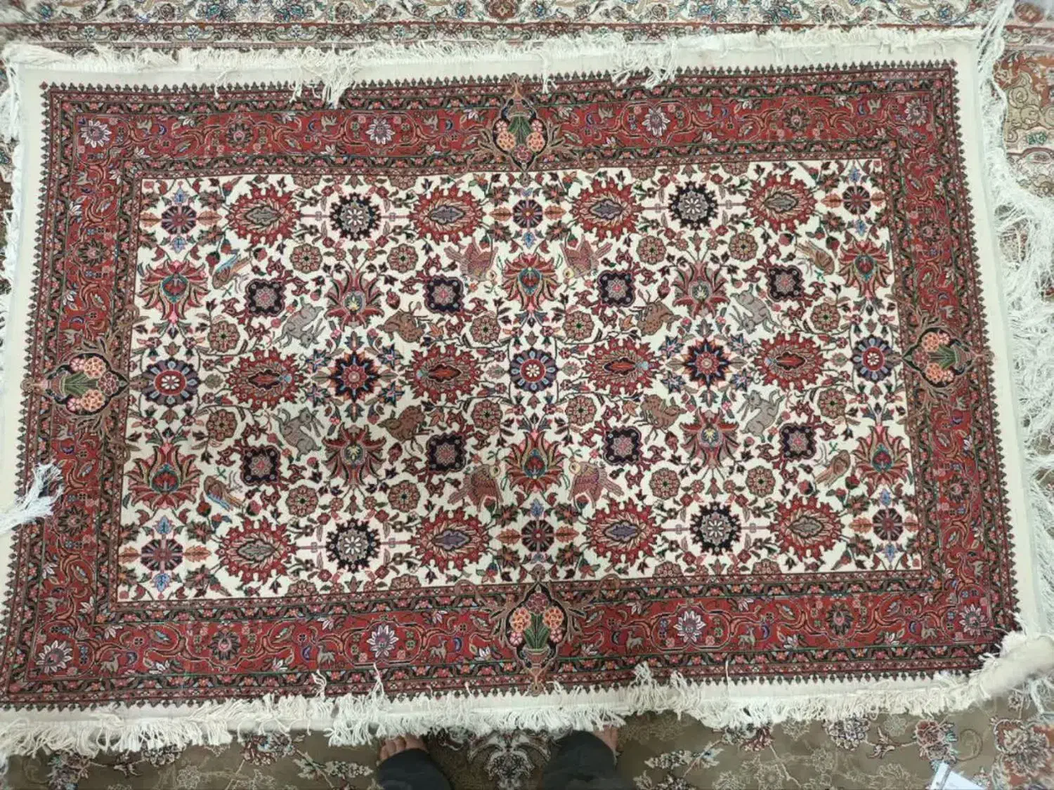 فروش فرش دست بافت|فرش|نظرآباد, نظرآباد|دیوار