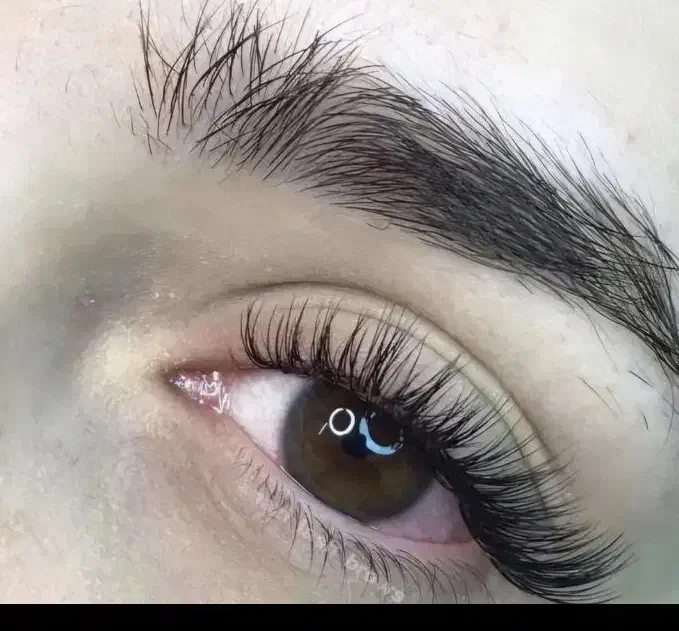 خدمات اکستنشن مژه|خدمات آرایشگری و زیبایی|اصفهان, زاجان|دیوار